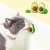 Bola Bolinha De Catnip Cat Nip Relaxante Para Gatos - comprar online