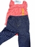 Conjunto 04 peças calça E body Flamingos bebe Carters