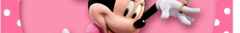 Banner de la categoría MINNIE