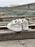 Tênis Nike Air Force 1 Fóssil - comprar online