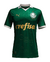 Camisa Puma Palmeiras Torcedor - 2024