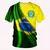 Camisa Bandeira Nacional - loja online