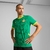 camisa-reserva-senegal-fora-número=-ii-2-dois-2024-25-24-25-puma-away-kit-verde-leao-forca-time-gola-redonda-faixas-diagonais-verde-limao-escudo-federacao-senegalesa-logos-puma-3