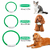 Collar de perro con luz LED Recargable USB Talla M - Comprayhelp