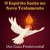 O Espírito Santo no Novo Testamento Um Guia Pentecostal