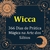 Wicca 366 Dias de Prática Mágica na Arte dos Sábios