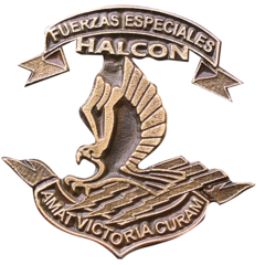 PBA-372 Distintivo calado de Boina Grupo Especial Halcon , bronce viejo