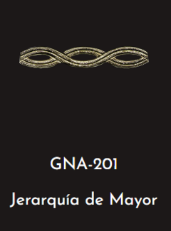 GNA 201 - JERARQUIA DE MAYOR