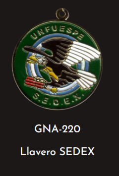 GNA 220 - LLAVERO SEDEX