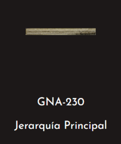 GNA 230 - JERARQUIA PRINCIPAL