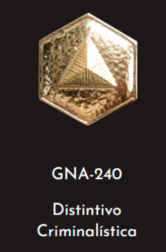 GNA 240 - DISTINTIVO CRIMINALISTICA