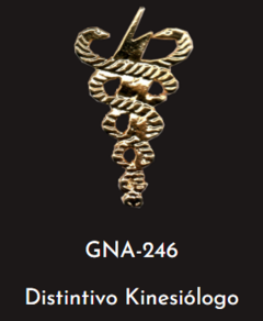 GNA 246 - DISTINTIVO KINESIOLOGO