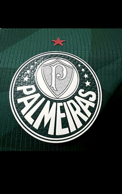 Camisa Palmeiras I 2023/2024 Torcedor Puma Masculina - loja online