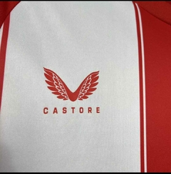 Camisa Almeria 2024/2025 Home Masculina Castore - comprar online