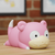 Slowpoke en internet