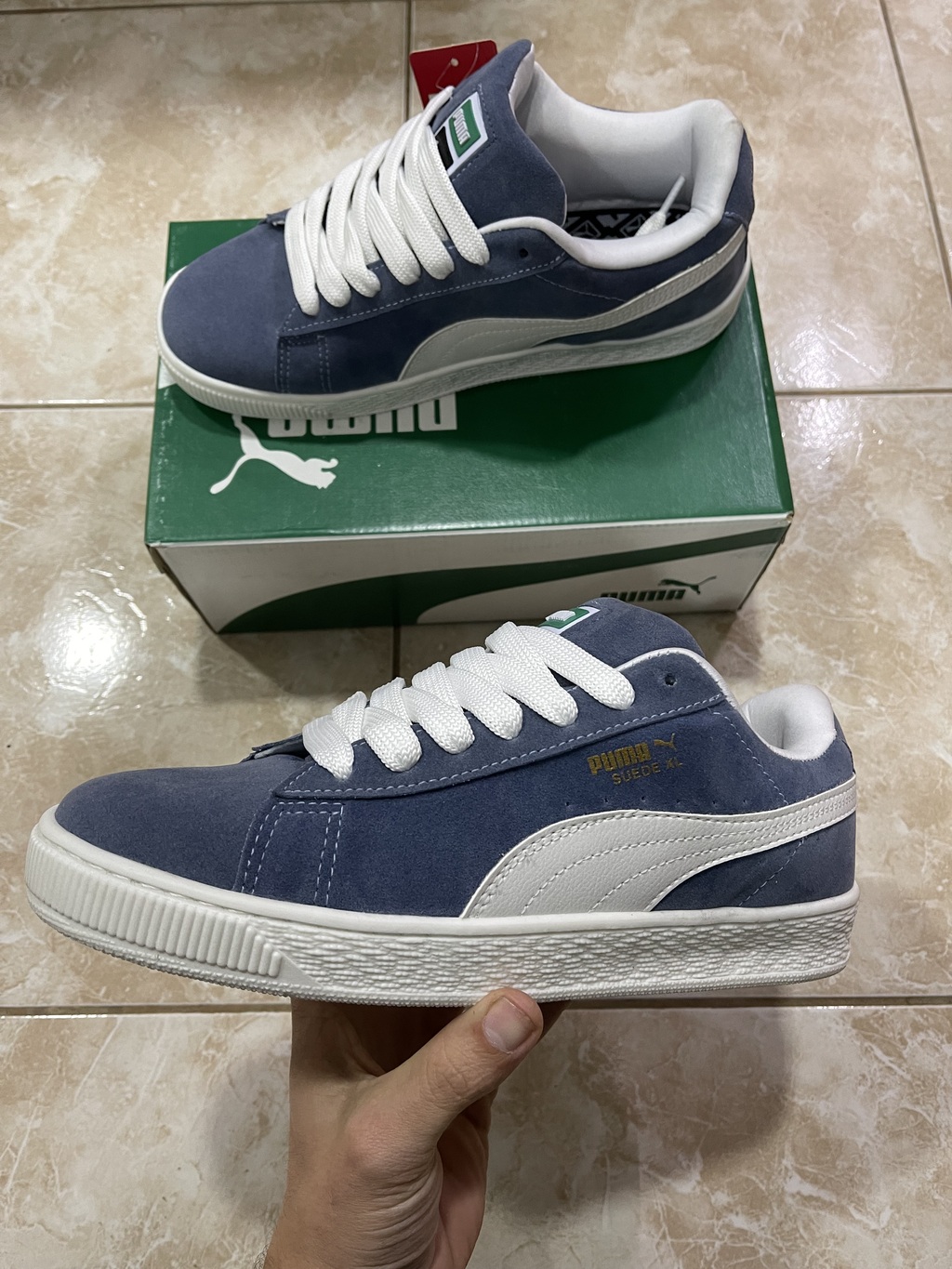 Puma suede celeste online