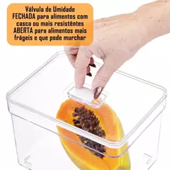 Kit 4 Organizador de Geladeira 3,8 Litros Cesto Com Tampa Multiuso Alimentos Verduras e Vegetais - loja online