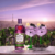 TANQUERAY ROYALE DARK BERRY 750ML - comprar online