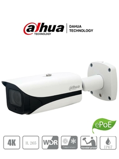 Cámara Dahua Technology DH-IPC-HFW5831EN-ZE