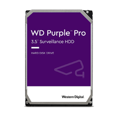 Disco Duro Interno WESTERN DIGITAL WD101PURP