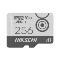 Memoria MicroSD / Clase 10 de 256 GB / Especializada Para Videovigilancia Movil (Uso 24/7) / Soporta Altas Temperaturas / 95 MB/s Lectura / 55 MB/s Escritura