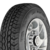 Fate 31x10.5 R15 109R Range Runner ATR (255/75 R15) - comprar online