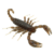 Isca Fresh Baits Scorpion 9cm - Jp Fishing Brasil