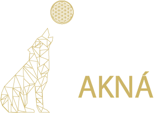 Akna