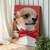 Quadro Decorativo Dog Chihuahua Pets Fundo Vermelho Vertical - MFDecor