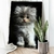 Quadro Decorativo Pet Gato Filhote Branco e Peludo Vertical na internet