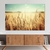 Quadro Decorativo Paisagem Campo de Trigo Horizontal - comprar online