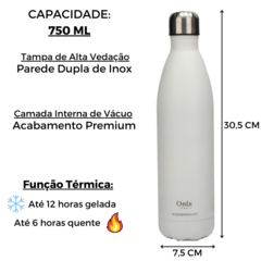 Garrafa Térmica Treino Passeio Carro Aço Inox Parede Dupla - loja online