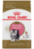 ROYAL CANIN PERSIAN KITTEN