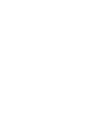 X-Trust Chile