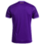 Camisa Anderlecht I 24/25 - Torcedor - Masculino - Roxo