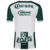 Camisa Santos Laguna Home 24/25 - Torcedor - Masculino - Verde e Branco