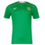 Camisa Seleção Irlanda Home 24/25 - Torcedor - Masculina - Verde