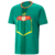 Camisa Seleção Senegal Away 22/23 - Copa do Mundo 2022 -Torcedor- Masculina - Verde