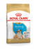 Royal Canin Bulldog Ingles Cachorro