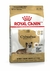 Royal Canin Chihuahua Adulto 8+