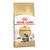 Royal Canin Gato Adulto Maine Coon