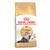 Royal Canin Gato Adulto Persa