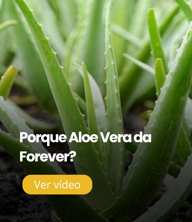 Banner de Aloe Vera Protection