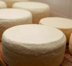 Queijo Minas frescal e meia cura direto da roça na internet