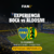 BOCA VS ALDOSIVI