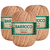 Barbante Barroco Maxcolor 7625 - Castanho Círculo N6 400g 452mts - comprar online