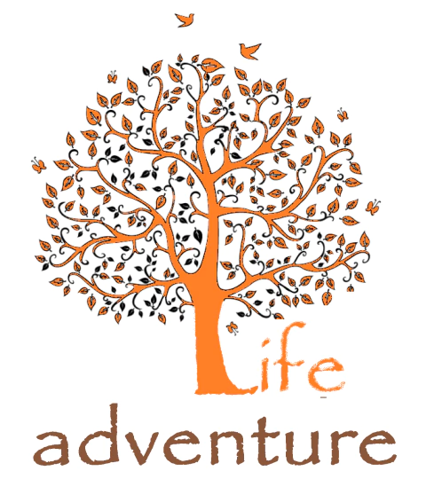 Life Adventure