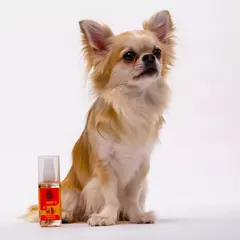 Colônia Au.Migos Pets 60ml - comprar online