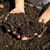 COMPOST BIOLOGICAMENTE COMPLETO 2L - comprar online