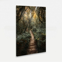 Quadro Paisagem Trilha de Madeira entre a Floresta - comprar online